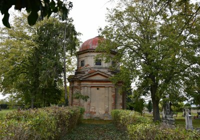 Chcebuz, Omnium, 2020