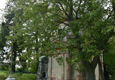 Chcebuz, Omnium, 2020