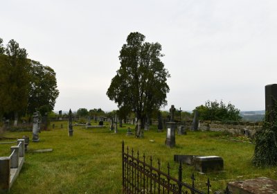 Chcebuz, Omnium, 2020