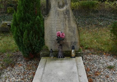 Chcebuz, Omnium, 2020