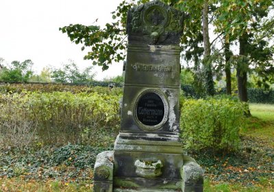 Chcebuz, Omnium, 2020