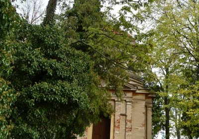 Chcebuz, Omnium, 2020