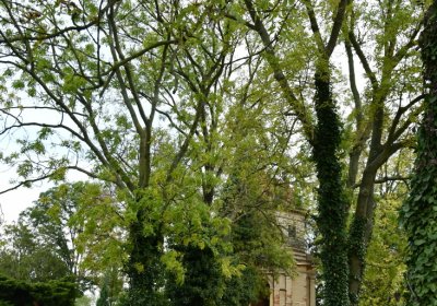 Chcebuz, Omnium, 2020