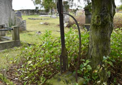 Chcebuz, Omnium, 2020