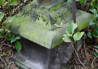 Chcebuz, Omnium, 2020