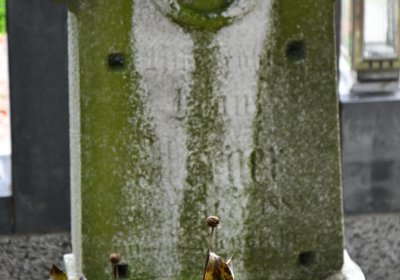 Chcebuz, Omnium, 2020