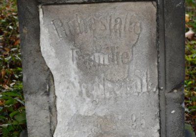 Chcebuz, Omnium, 2020