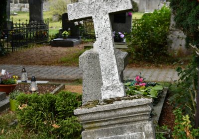 Chcebuz, Omnium, 2020