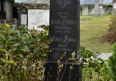 Chcebuz, Omnium, 2020