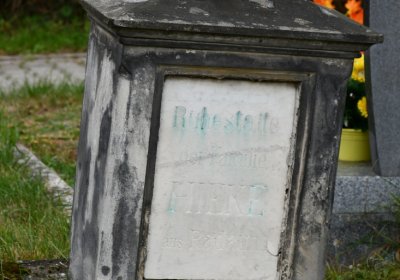 Chcebuz, Omnium, 2020