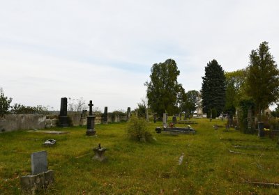 Chcebuz, Omnium, 2020