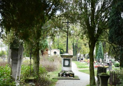 Chcebuz, Omnium, 2020