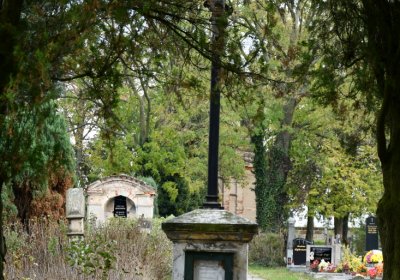 Chcebuz, Omnium, 2020