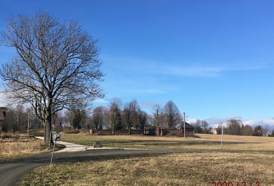 Schatzlar 73, 2020
