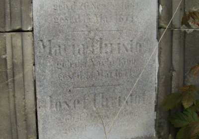 Kmínek Michal, 2020