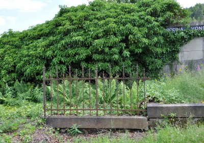 Omnium, Červenec 2020