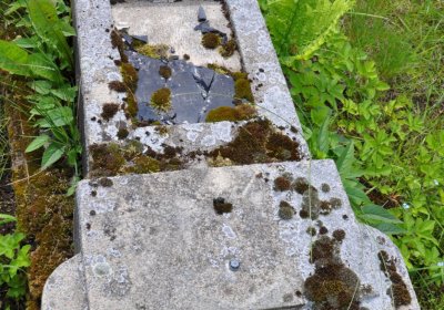 Omnium, Červenec 2020