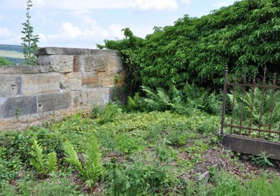 Omnium, Červenec 2020