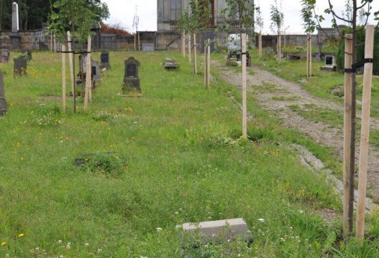Omnium, Červenec 2020