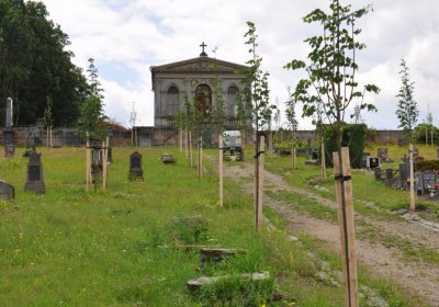 Omnium, Červenec 2020