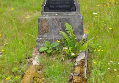 Omnium, Červenec 2020