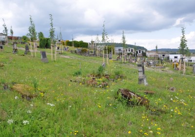 Omnium, Červenec 2020