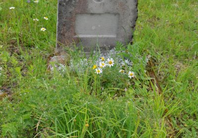 Omnium, Červenec 2020