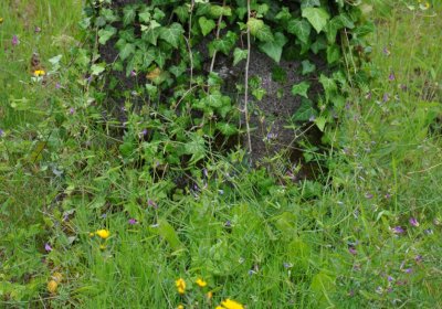 Omnium, Červenec 2020