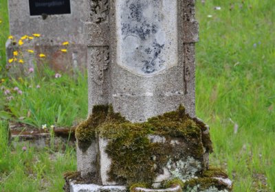 Omnium, Červenec 2020