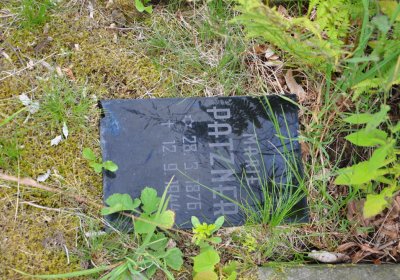 Omnium, Červenec 2020