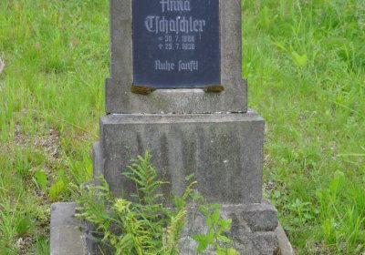 Omnium, Červenec 2020