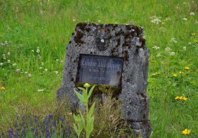 Omnium, Červenec 2020