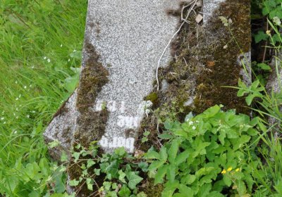 Omnium, Červenec 2020