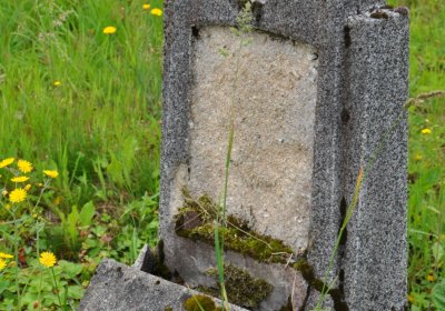 Omnium, Červenec 2020