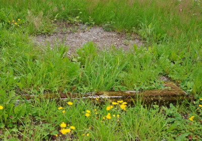 Omnium, Červenec 2020