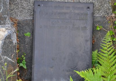 Omnium, Červenec 2020