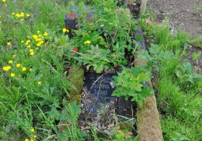 Omnium, Červenec 2020