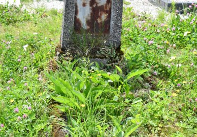 Omnium, Červenec 2020