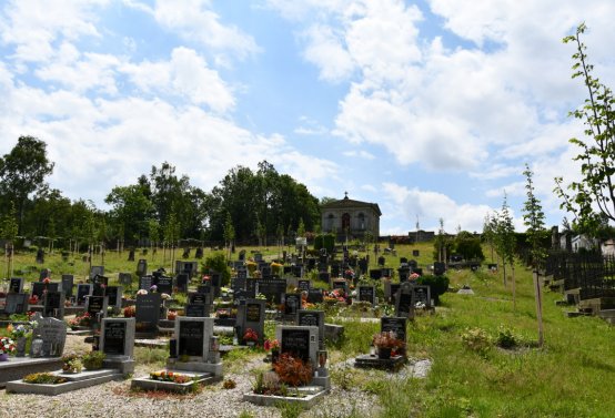 Omnium, Červenec 2020