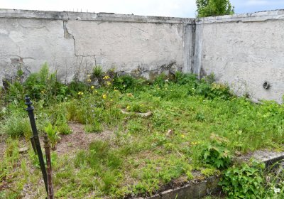 Omnium, Červenec 2020