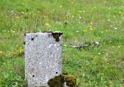 Omnium, Červenec 2020