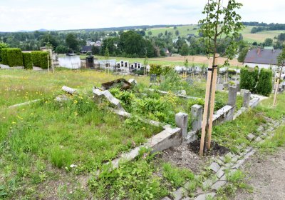 Omnium, Červenec 2020