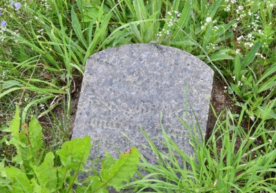 Omnium, Červenec 2020