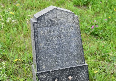 Omnium, Červenec 2020