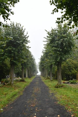 Česká Kamenice