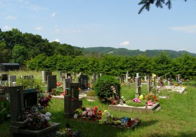 Kmínek Michal, 2020