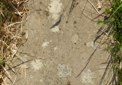 Kmínek Michal, 2020