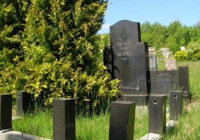 Kmínek Michal, 2020