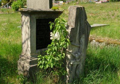 Kmínek Michal, 2020