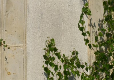 Kmínek Michal, 2020